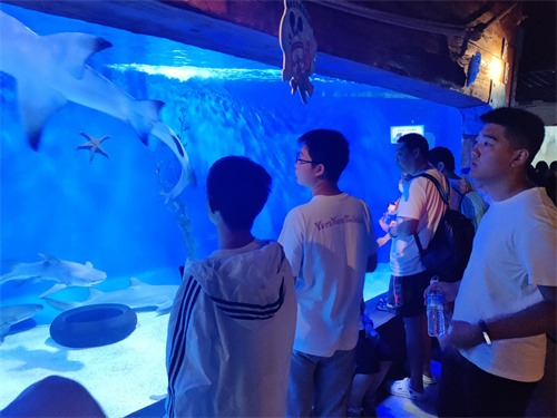 7月北京夏令营